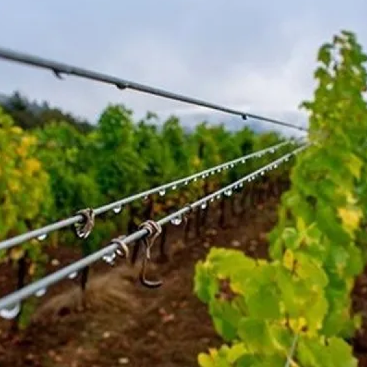 vineyard wire
